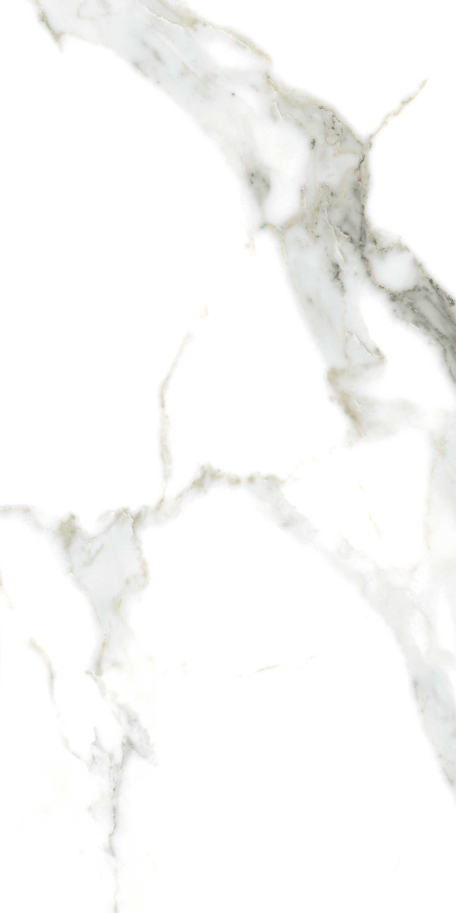 Porcelain Tile 60x120 CROWN STATUARIO (Glossy)